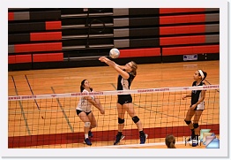 Freshman at SHHS * (358 Slides)